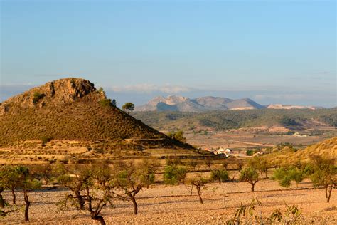 “La Boda” - Eine Romantische Feier des Lebens in den Tiefen der spanischen Landschaft!