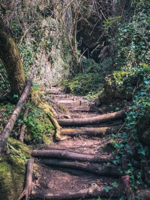  Il Sentiero dei Sogni: Eine Reise durch Abstrakte Landschaften!